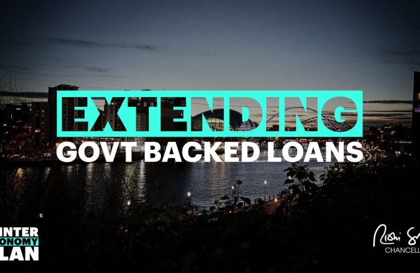 Extending Government Backed Loans